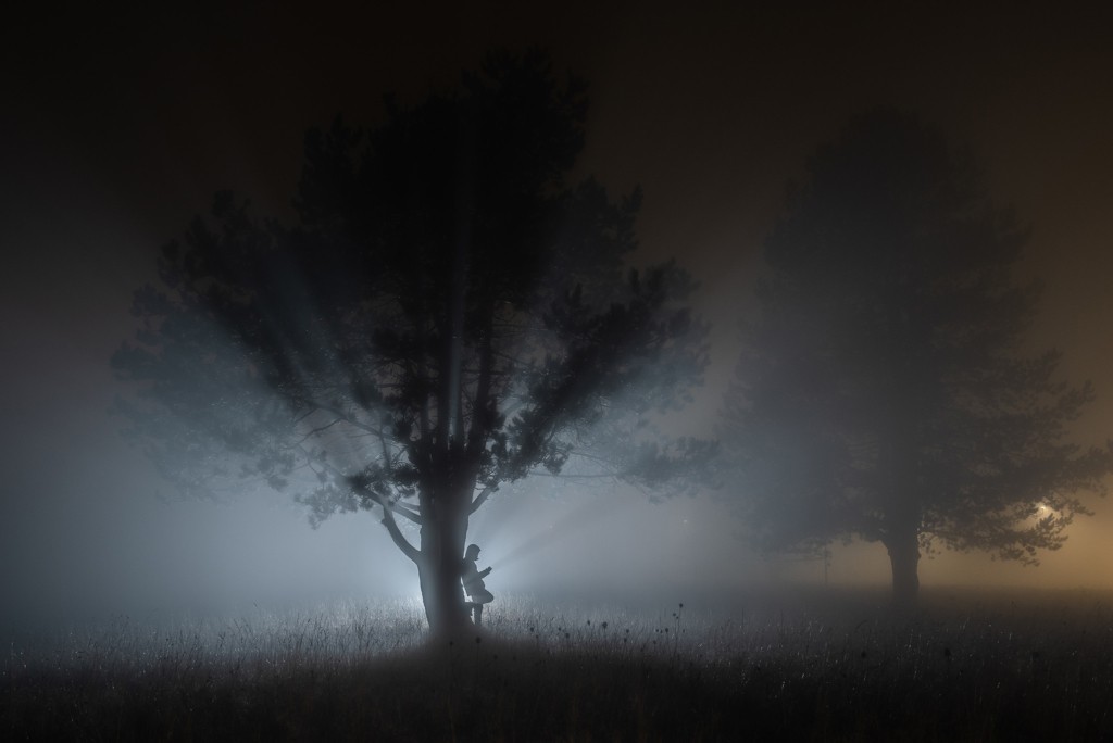Silhouette d'arbre de nuit dans le brouillard au flash | Paysages nocturnes © Pierre ROLIN - Photographe Nancy - Lorraine / Grand Est