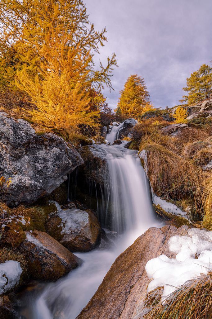 Petite cascade au travers des Mélèzes dans la vallée de la Clarée | Hautes-Alpes © Pierre ROLIN - Photographe Nancy - Lorraine / Grand Est