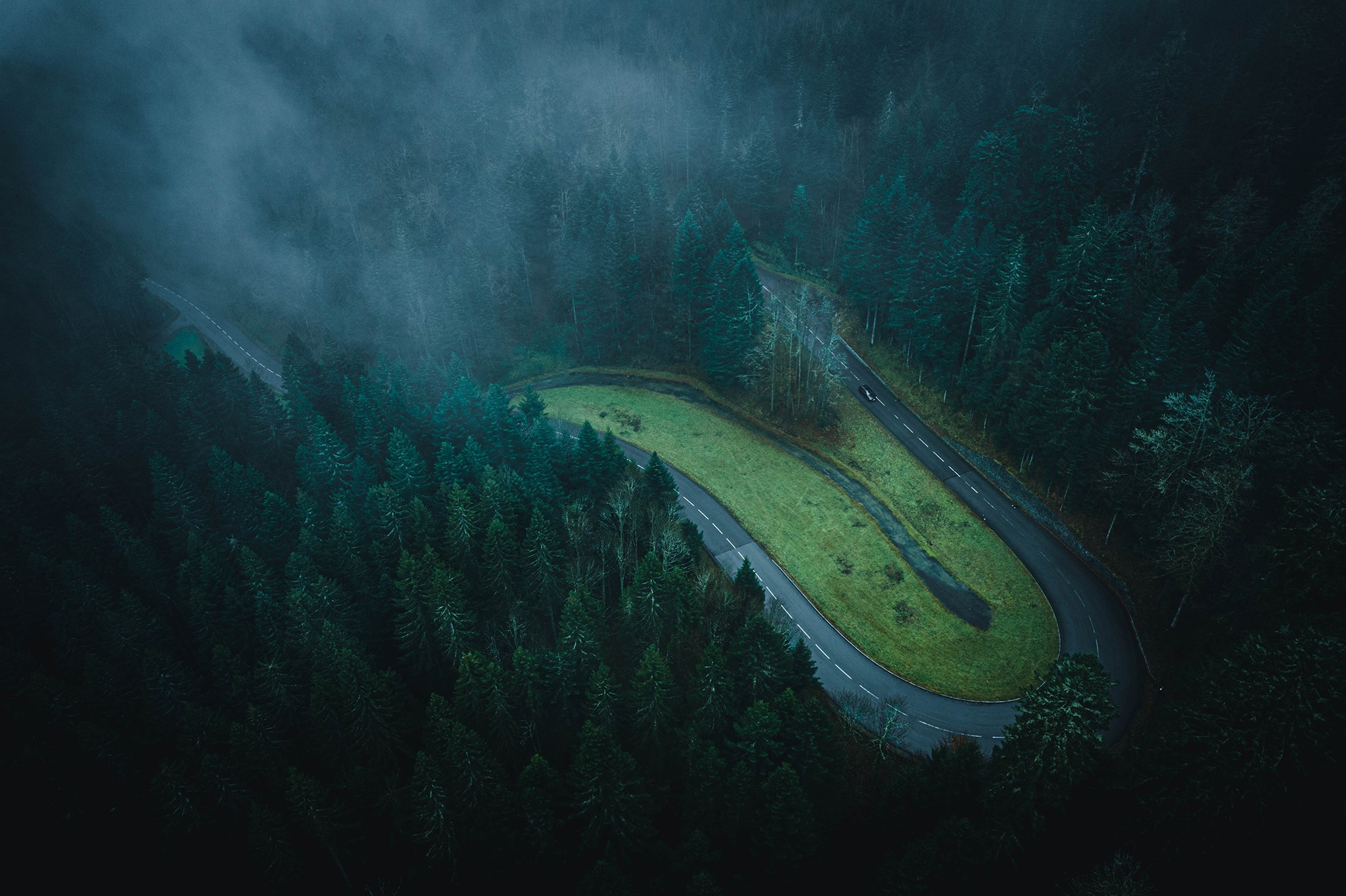 Forêt & route dans la brume | Vosges