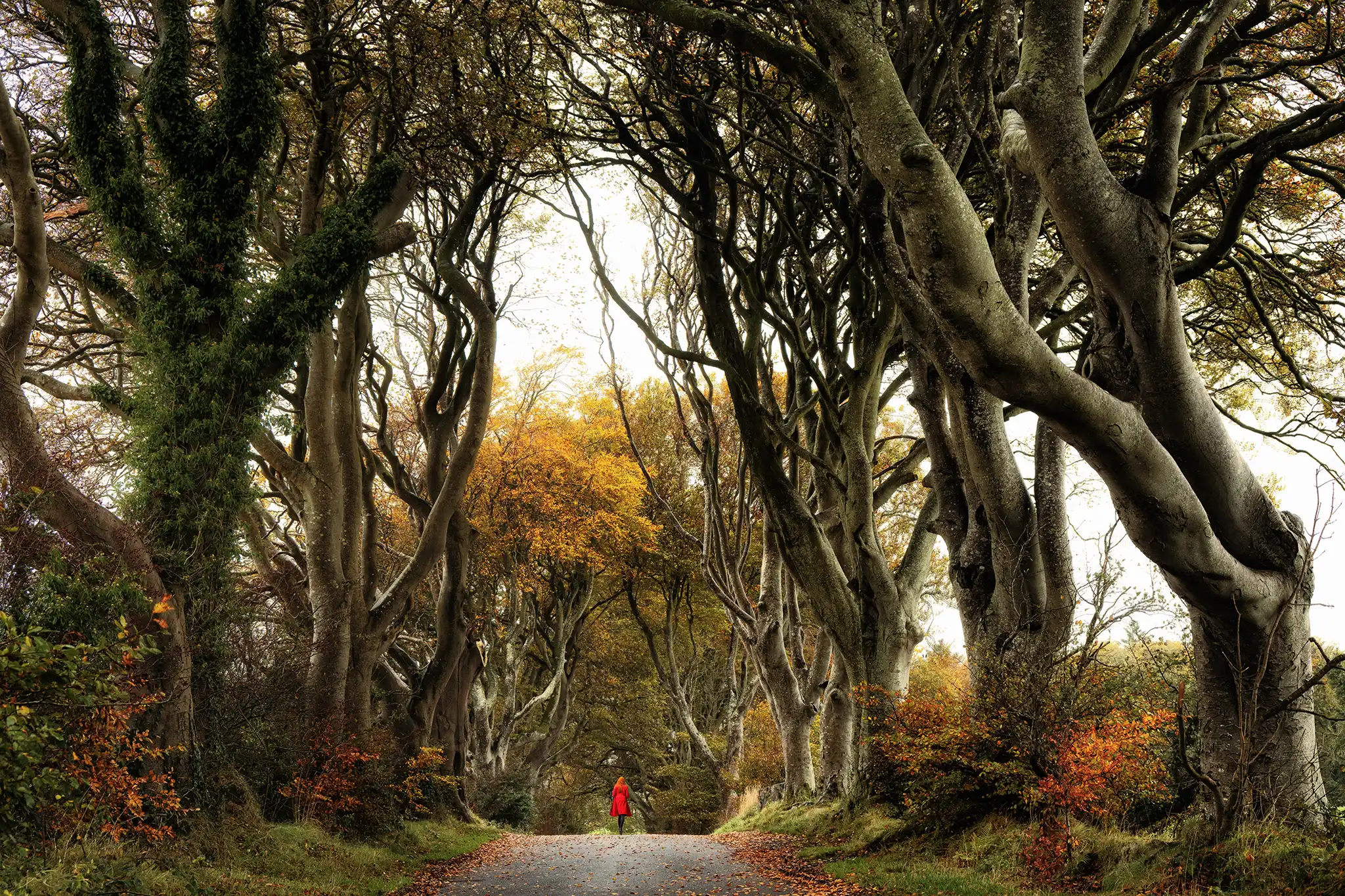 The dark Edge - Irlande du Nord © Pierre ROLIN - Photographe paysages Nancy - Lorraine / Grand Est